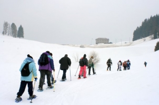  Discovering's raquetas de nieve